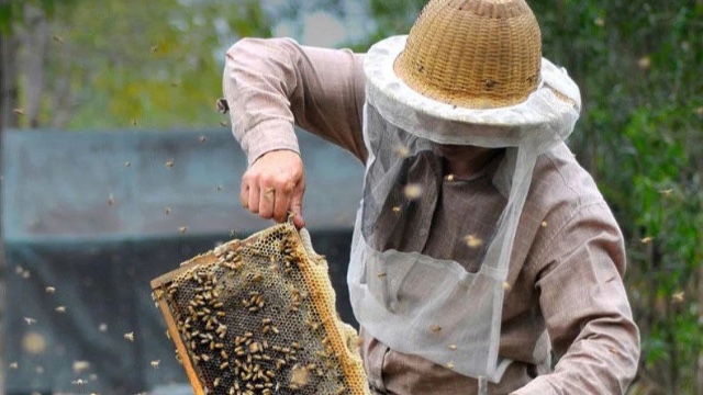 不同的蜂蜜功能有區(qū)別嗎？