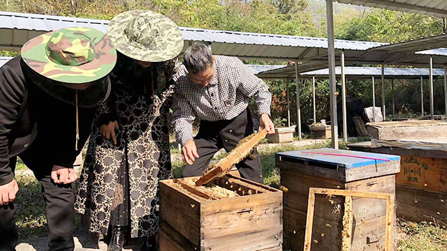 鴻香源-原料蜂蜜分裝案例